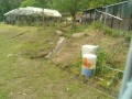 IMG_20260506_095507