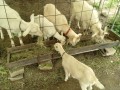 IMG_20260506_100146