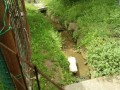 IMG_20260506_100210