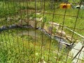 IMG_20260506_100455