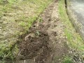 IMG_20260506_115926
