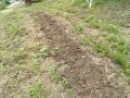 IMG_20260506_115947