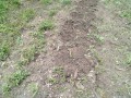 IMG_20260506_120002