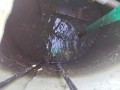 IMG_20260507_073830