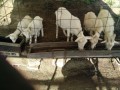 IMG_20260507_075442