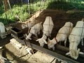 IMG_20260507_075458