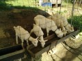 IMG_20260507_075504