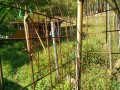 IMG_20260507_075520