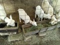 IMG_20260508_081900