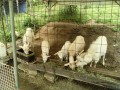 IMG_20260508_081918