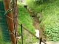 IMG_20260508_081929