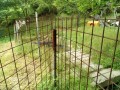 IMG_20260508_081944