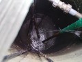 IMG_20260508_083324