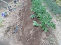 IMG_20260508_120102