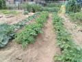 IMG_20260508_120108