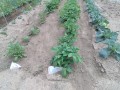 IMG_20260508_120131