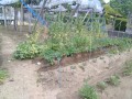 IMG_20260508_120133