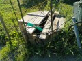IMG_20260509_074245