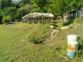 IMG_20260509_074321