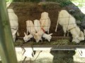 IMG_20260509_074659