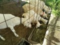 IMG_20260509_074724