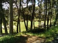 IMG_20260509_090036