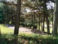 IMG_20260509_090041