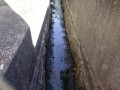 IMG_20260510_075927