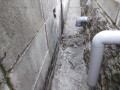 IMG_20260510_084844