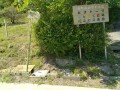 IMG_20260510_111248