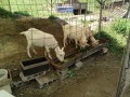 IMG_20260510_111845