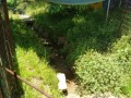 IMG_20260510_111851