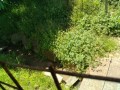 IMG_20260510_111908