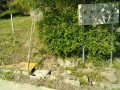 IMG_20260511_082741