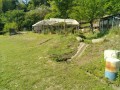 IMG_20260511_082840