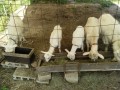 IMG_20260511_083248
