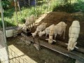 IMG_20260511_083254
