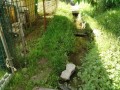 IMG_20260511_083313