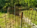 IMG_20260511_083409