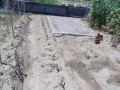 IMG_20260511_125444