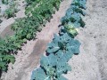 IMG_20260511_125502