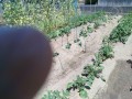 IMG_20260511_125508
