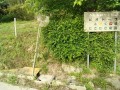 IMG_20260512_065810