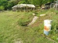 IMG_20260512_065853