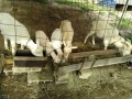 IMG_20260512_070243