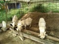 IMG_20260512_070250