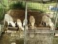 IMG_20260512_070302