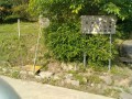 IMG_20260513_080708
