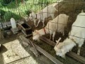 IMG_20260513_081242