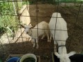 IMG_20260513_081256